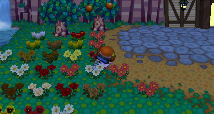 RUU_0011.JPG